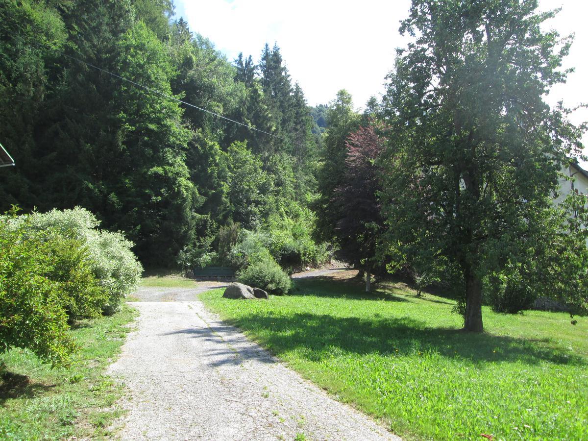Schloss Manndorf Gaestehaus Kotschach-Mauthen Екстериор снимка